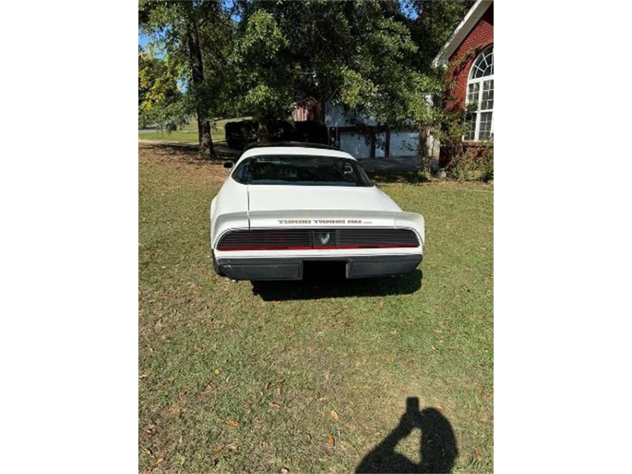 1981 pontiac firebird