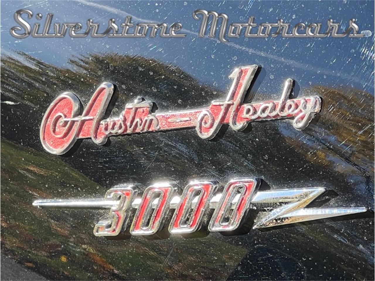 1966 austin-healey 3000