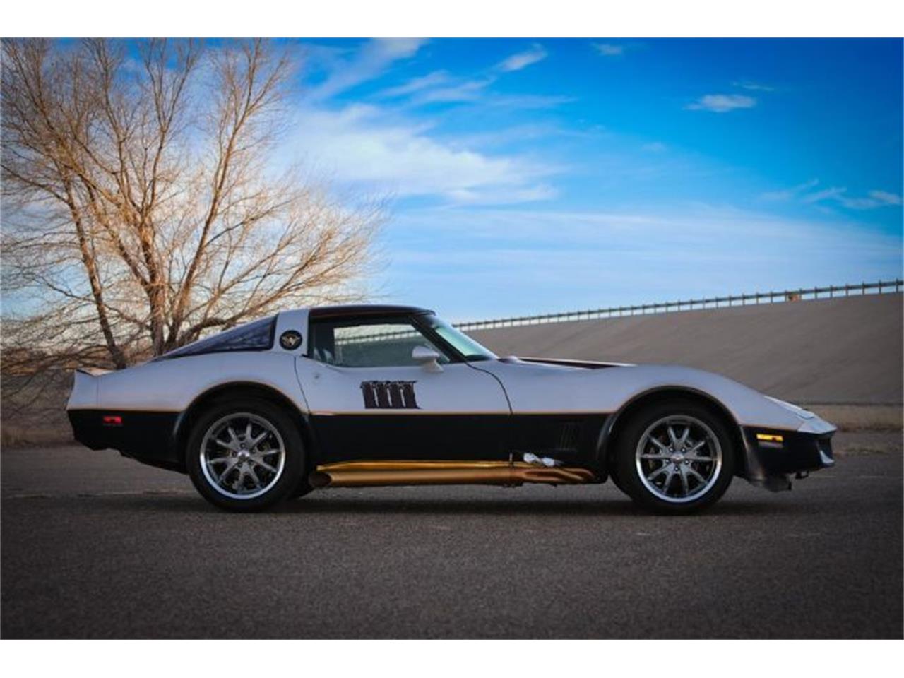 1981 chevrolet corvette