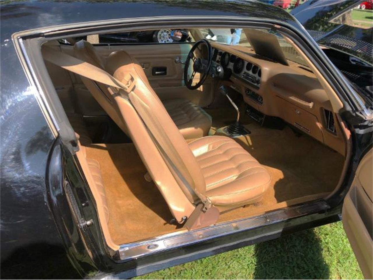 1976 pontiac firebird trans am