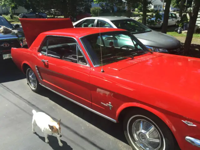 1965 ford mustang coupe 289 pony interior