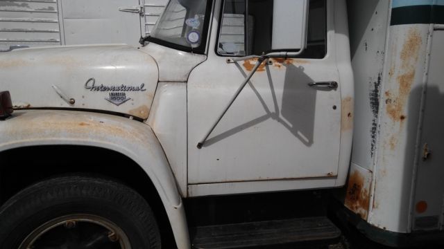 unique 1968 international loadstar 1600 horse truckruck
