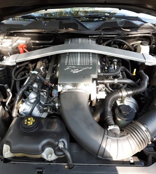 2010 ford mustang gt premium for sale in california by owner