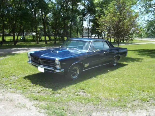 1965 pontiac le mans/ gto