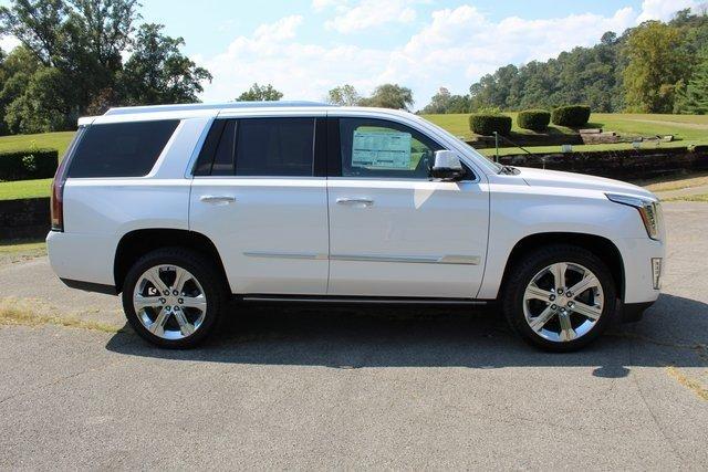 new 2020 cadillac escalade platinum hazard, ky 41701 for sale in browns fork, kentucky
