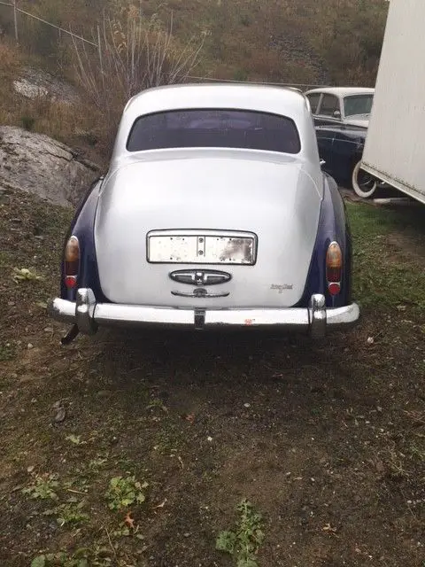excellent runner, starts, runs and stops very well