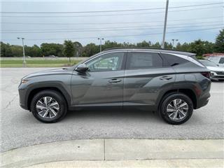 2024 Hyundai Tucson blue