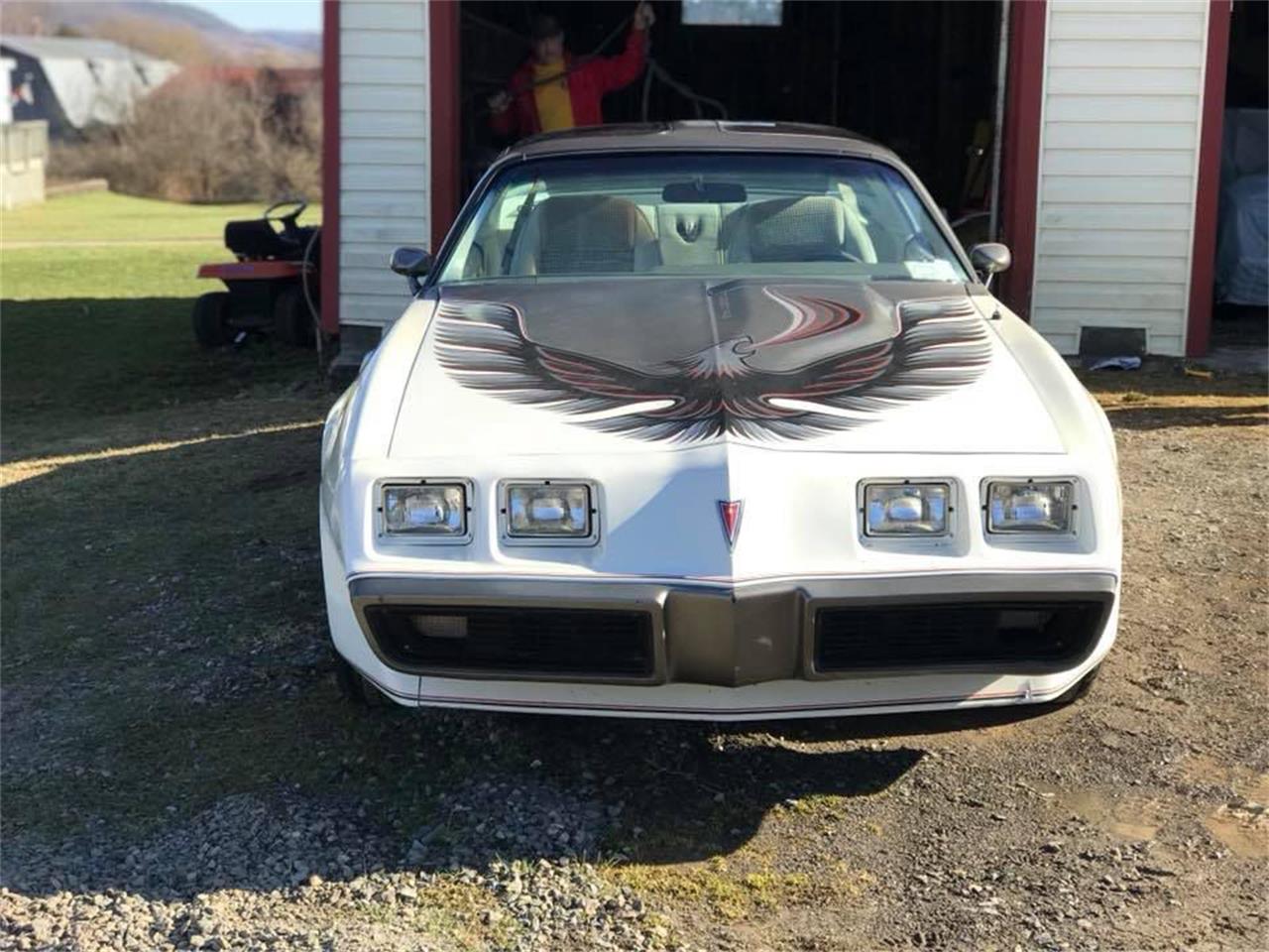 1980 pontiac firebird trans am