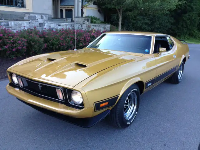 cobra jet
