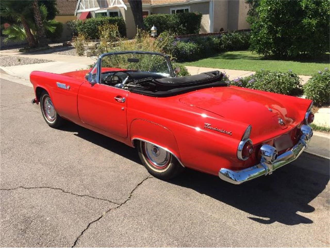 1955 ford thunderbird
