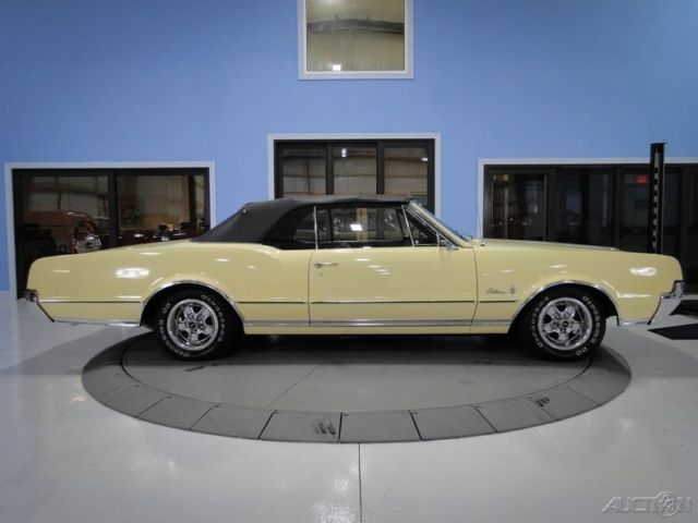 "y" code saffron paint "muscle car" convertible