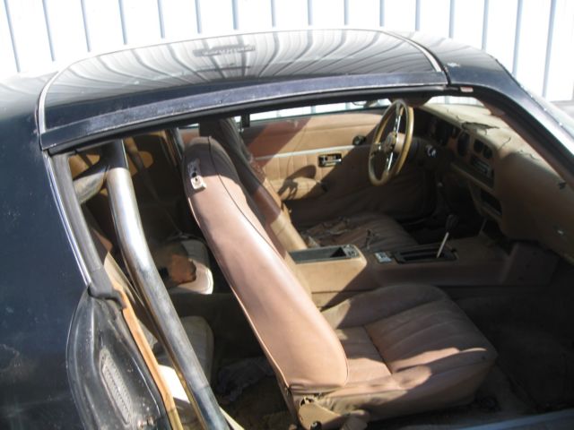 two 1979 trans ams