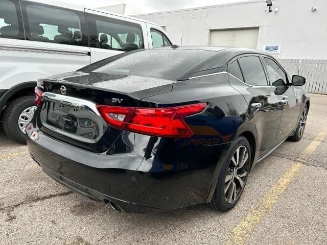 2017 nissan maxima 3.5 sv in black walnut, missouri
