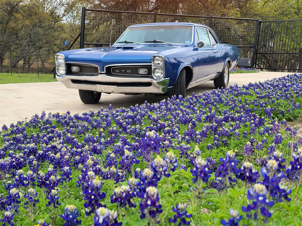 1967 pontiac gto