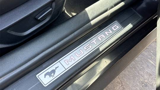 2022 Ford Mustang