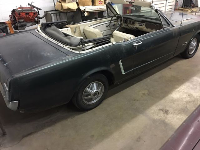 1965 mustang convertible luxury pony interior ivy green - white / ivy gold trim
