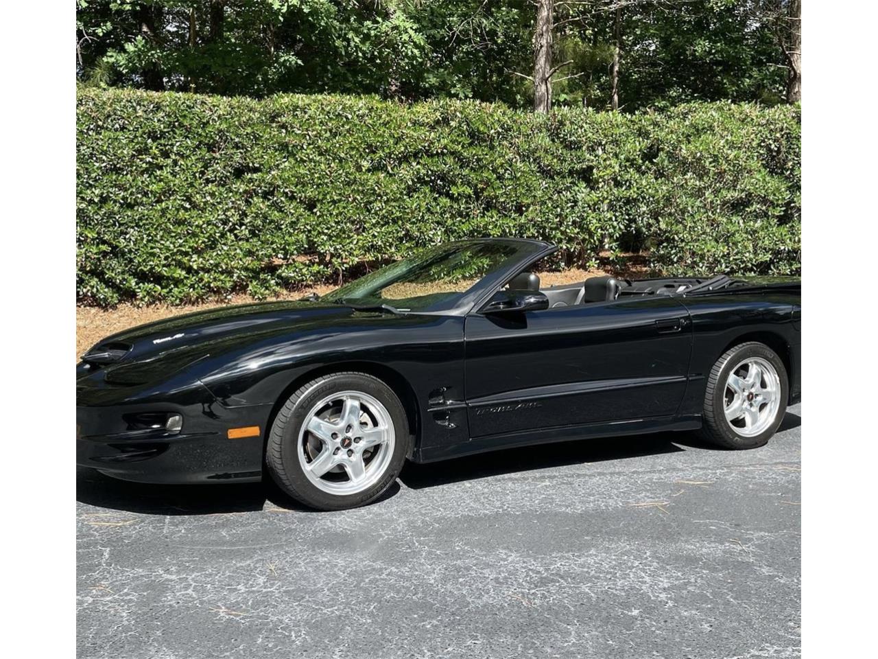 2002 pontiac firebird trans am ws6