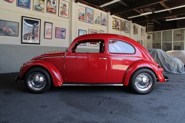 1951 volkswagen beetle