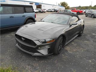 2020 Ford Mustang ecoboost