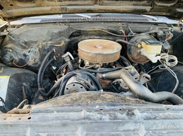 1982 chevy c-10 short bed 350 engine