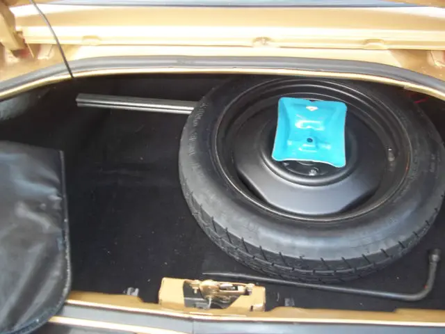 1981 pontiac firebird trans am coupe 2-door 4.9l
