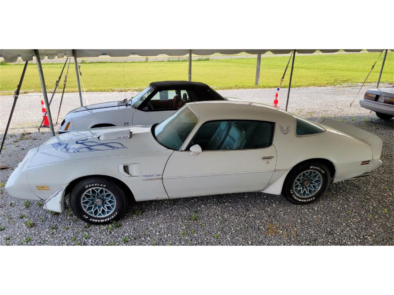 1979 pontiac firebird trans am