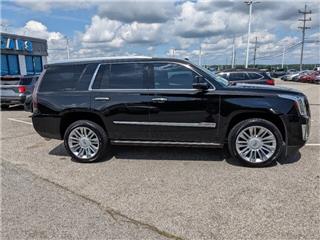 2020 Cadillac Escalade platinum
