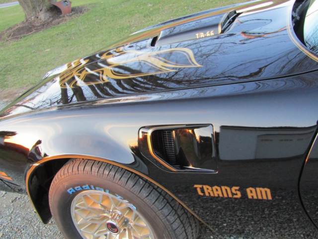 1977 poniac trans am y82 w72
