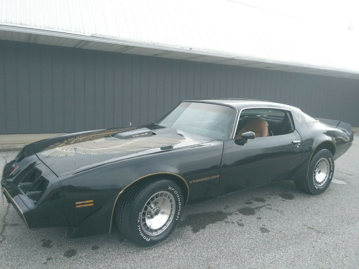 1980 firebird trans am tribute