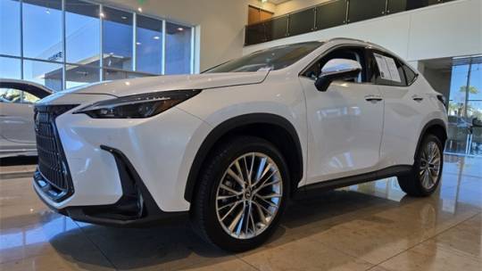 2022 Lexus NX