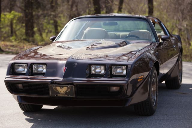1981 pontiac firebird trans am - survivor