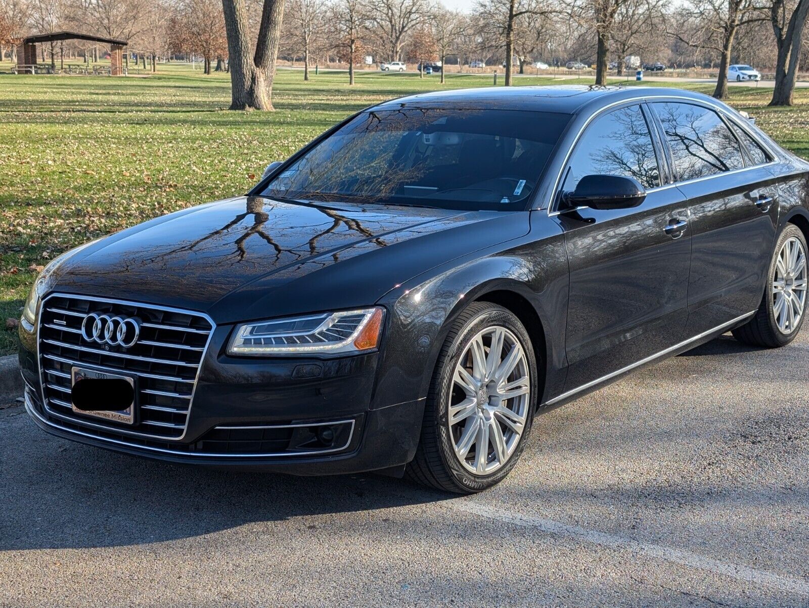 2015 audi a8