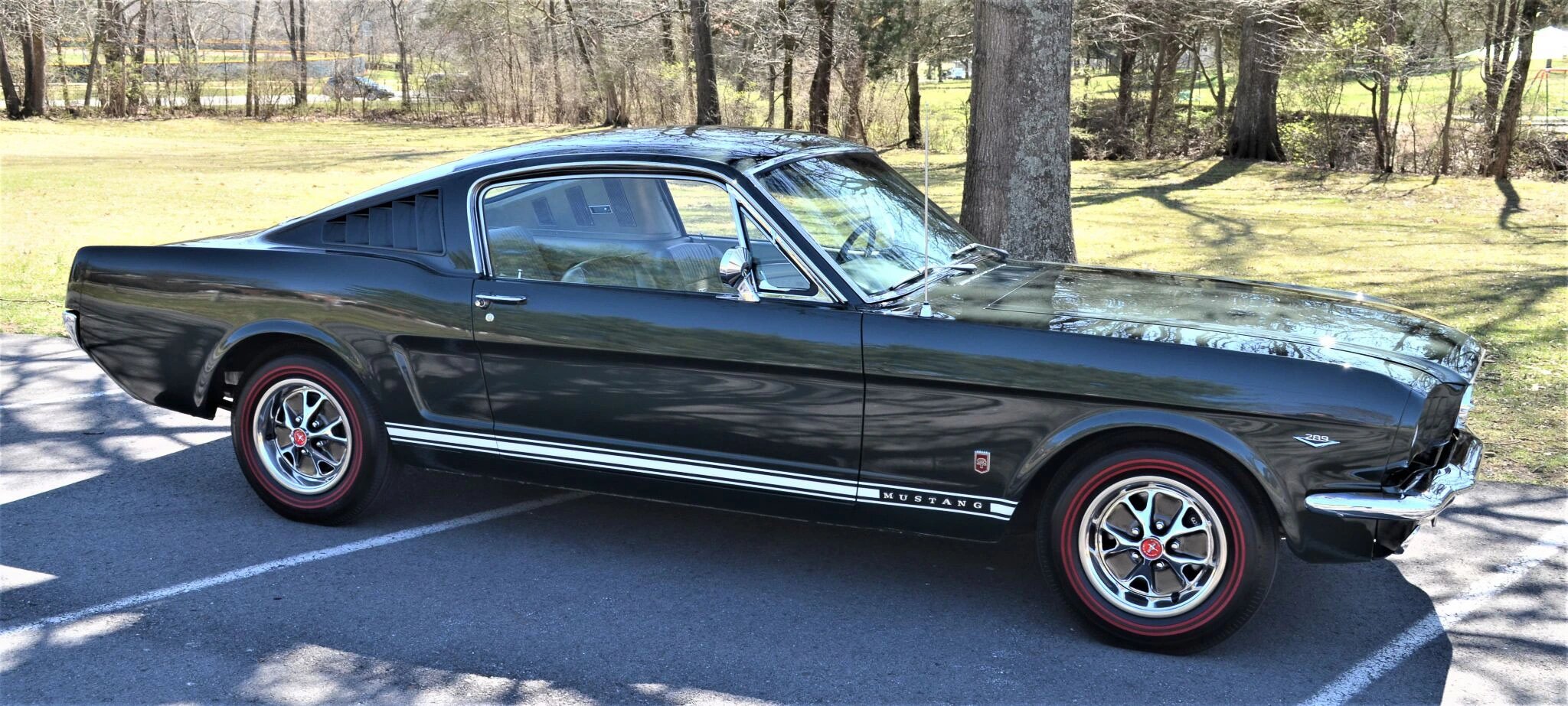ford mustang gt