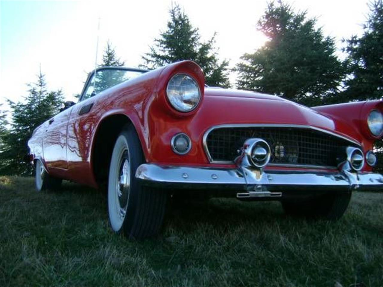 1955 ford thunderbird