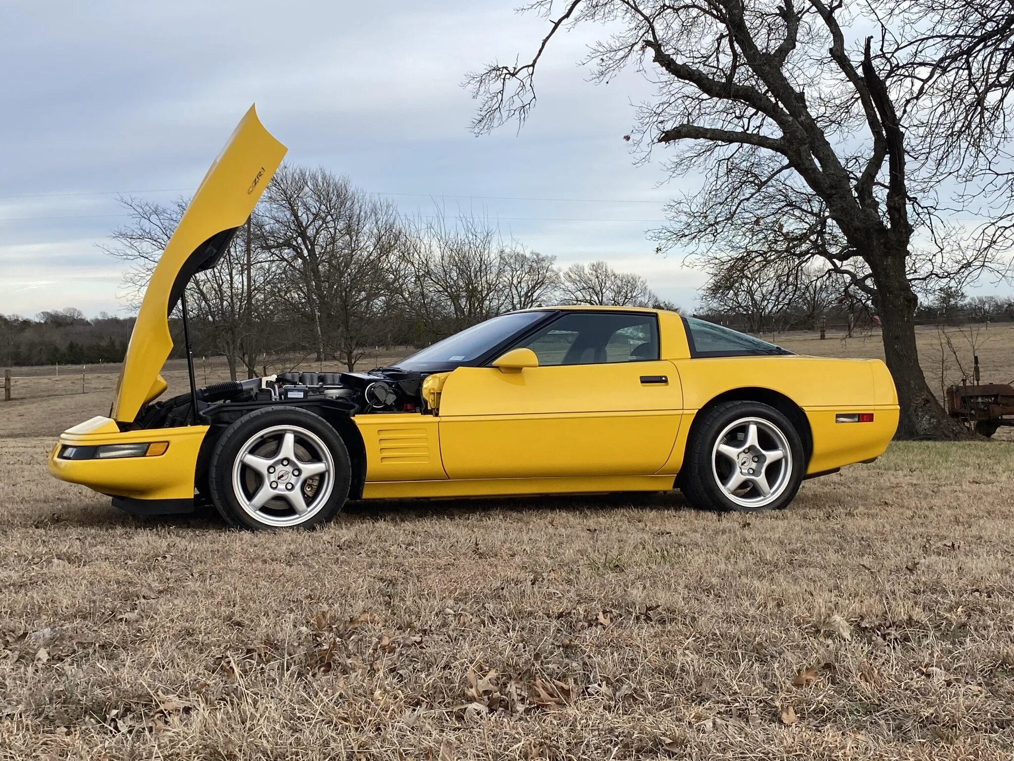 chevrolet corvette