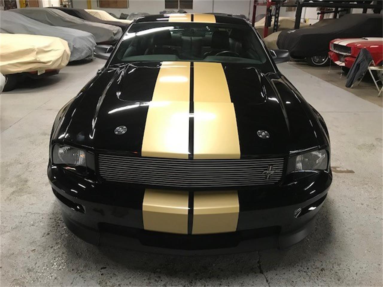 2006 shelby gt