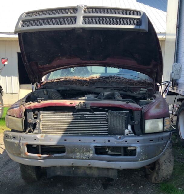 1994 dodge ram 3500 truck cab & chassis - cummins automatic 4x4 dual wheels