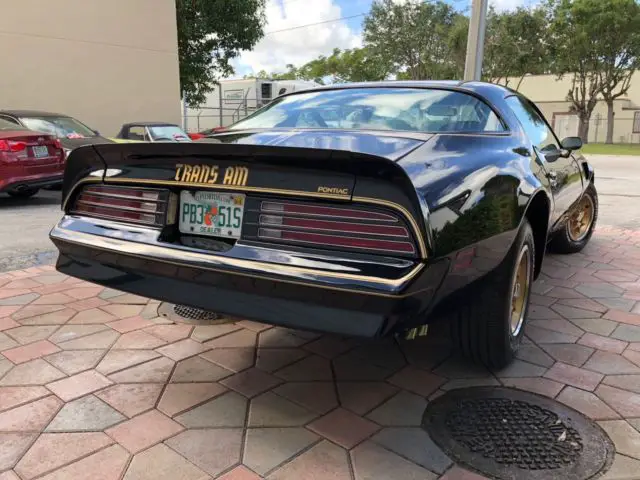 1976 trans am special edition y82 1 of 319 frame off resto