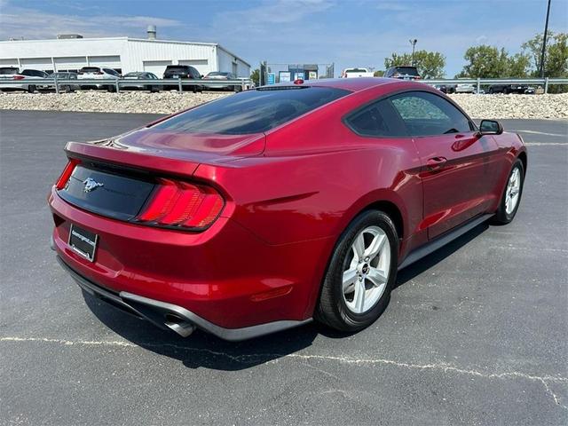 2019 ford mustang ecoboost