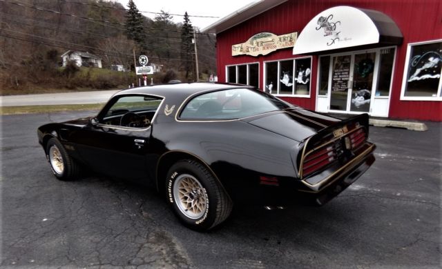 1977 pontiac trans am restored mint w72, y81 special edition