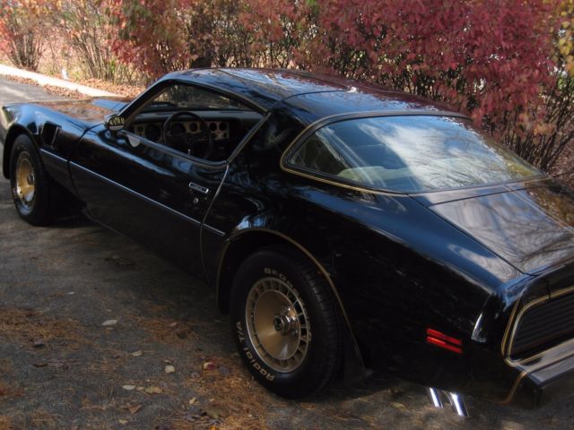 1981firebird pontiac trans am