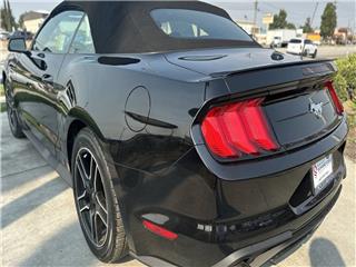 2022 Ford Mustang ecoboost premium
