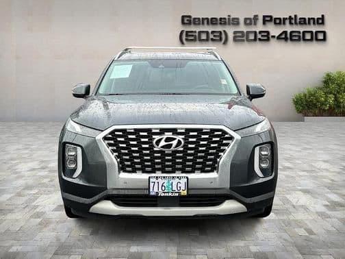 2020 hyundai palisade in northwoods, illinois