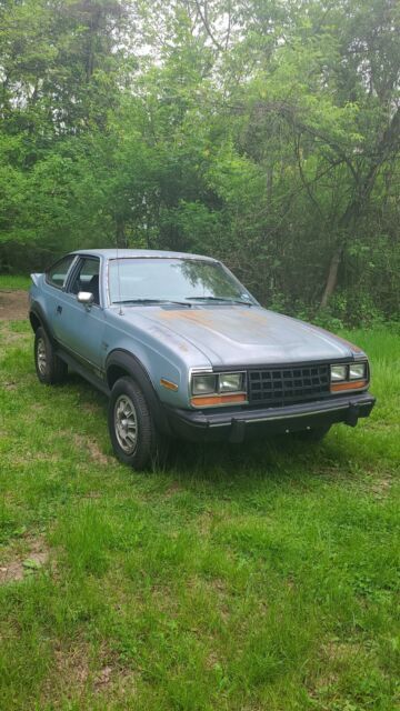1983 amc eagle sx4 2-door 4x4. sport. 5 speed. a/c. rally package. last year