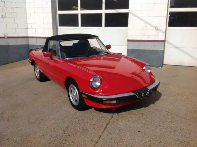 1986 alfa romeo spider convertable