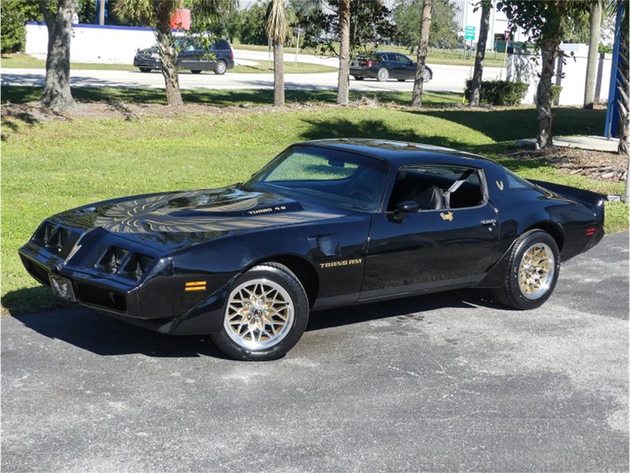 1980 pontiac firebird trans am