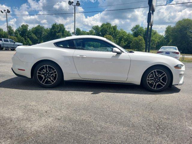 2022 ford mustang ecoboost