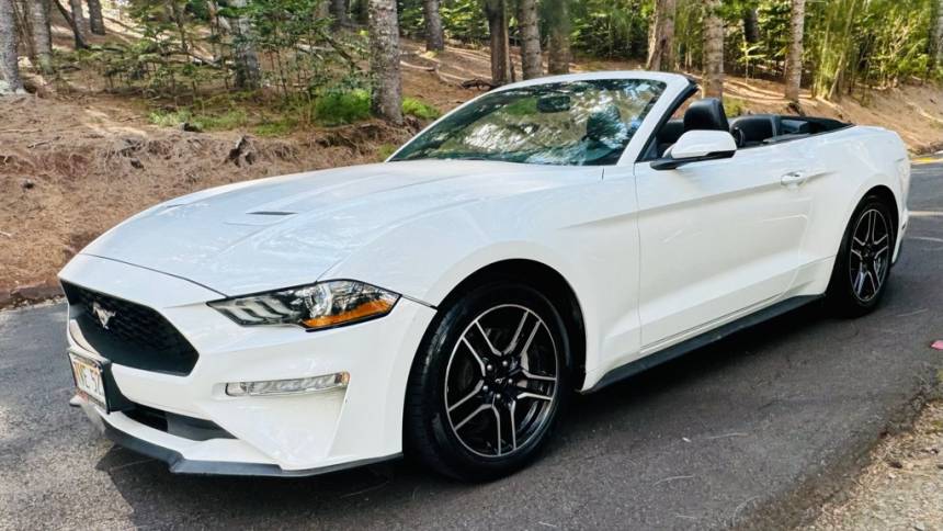 2019 ford mustang ecoboost