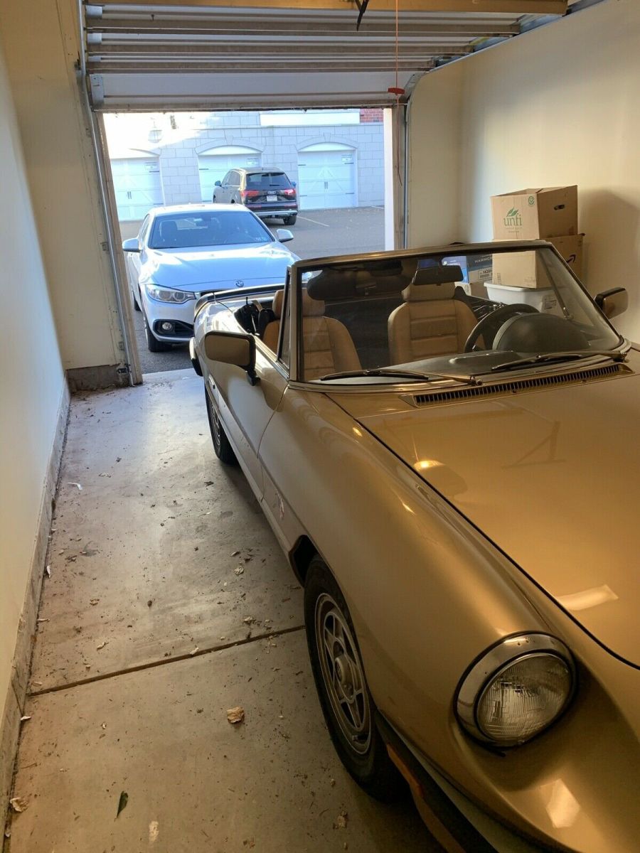 1986 alfa romeo spider convertible rwd manual 2000 spider veloce