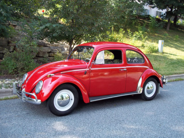 1964 classic vw beetle clean car